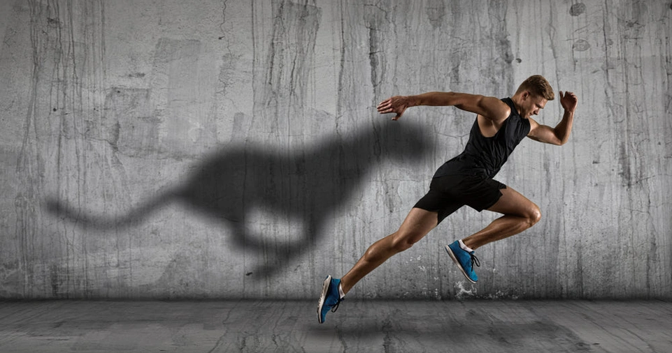 The Role of Nutrition in Staying Motivated